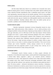 Strateginės veiklos analizė: AB "Ūkio bankas" 8 puslapis