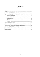 Strateginis planavimas: prekyba gėlėmis Petraičio IĮ "Orchidėja" 2 puslapis