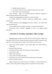 Strateginis planavimas: prekyba gėlėmis Petraičio IĮ "Orchidėja" 14 puslapis