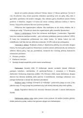 Strateginis planavimas: prekyba gėlėmis Petraičio IĮ "Orchidėja" 16 puslapis