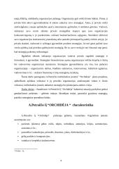 Strateginis planavimas: prekyba gėlėmis Petraičio IĮ "Orchidėja" 4 puslapis