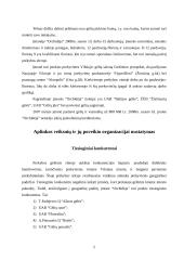 Strateginis planavimas: prekyba gėlėmis Petraičio IĮ "Orchidėja" 5 puslapis