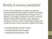 Brolio ir sesers santykiai 14 puslapis