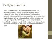 Brolio ir sesers santykiai 7 puslapis