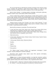 Strateginis valdymas: UAB "Baltasis pyragas" 10 puslapis