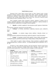 Strateginis valdymas: UAB "Baltasis pyragas" 13 puslapis