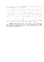 Strateginis valdymas: UAB "Baltasis pyragas" 17 puslapis