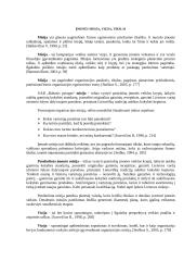 Strateginis valdymas: UAB "Baltasis pyragas" 3 puslapis