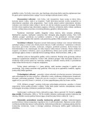 Strateginis valdymas: UAB "Baltasis pyragas" 6 puslapis