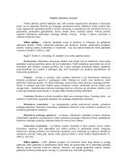Strateginis valdymas: UAB "Baltasis pyragas" 9 puslapis