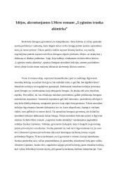 Idėjos, akcentuojamos I.Mero romane „Lygiosios trunka akimirka”