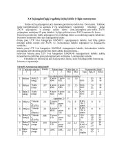Projektas: struktūrizuota kabelinė sistema 11 puslapis