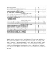 Projektas: struktūrizuota kabelinė sistema 13 puslapis