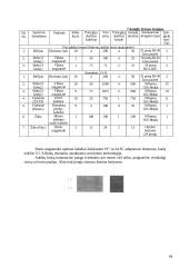 Projektas: struktūrizuota kabelinė sistema 9 puslapis
