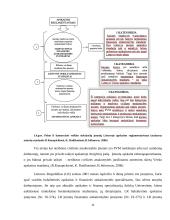 UAB ,,Mobila“ buhalterinė apskaita ir finansinių bei mokestinių ataskaitų rengimas 9 puslapis
