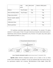 UAB ,,Mobila“ buhalterinė apskaita ir finansinių bei mokestinių ataskaitų rengimas 12 puslapis