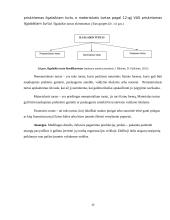 UAB ,,Mobila“ buhalterinė apskaita ir finansinių bei mokestinių ataskaitų rengimas 13 puslapis