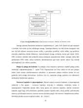 UAB ,,Mobila“ buhalterinė apskaita ir finansinių bei mokestinių ataskaitų rengimas 14 puslapis