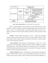 UAB ,,Mobila“ buhalterinė apskaita ir finansinių bei mokestinių ataskaitų rengimas 15 puslapis