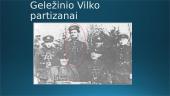 Partizanas Vaclovas Voveris - Žaibas 5 puslapis