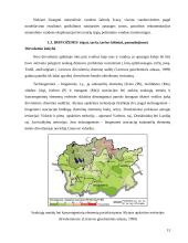 Subalansuota teritorijų plėtra: Druskininkų savivaldybė 14 puslapis