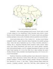 Subalansuota teritorijų plėtra: Druskininkų savivaldybė 5 puslapis