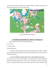 Subalansuota teritorijų plėtra: Druskininkų savivaldybė 6 puslapis