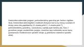 Deoksiribonukleorūgštis  (skaidrės) 4 puslapis