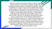 Deoksiribonukleorūgštis  (skaidrės) 8 puslapis