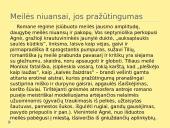 Marius Katiliškis – talentingas XXa. lietuvių išeivijos prozininkas  13 puslapis