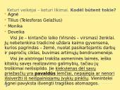 Marius Katiliškis – talentingas XXa. lietuvių išeivijos prozininkas  18 puslapis