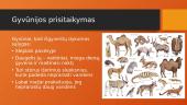 Dykumos biomas (skaidrės) 6 puslapis