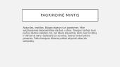 Sizifo mitas 4 puslapis
