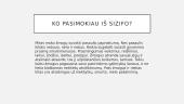 Sizifo mitas 7 puslapis
