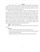 Vaikų dienos socialinė priežiūra riziką patiriantiems vaikams dienos centruose 2 puslapis