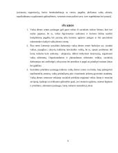 Vaikų dienos socialinė priežiūra riziką patiriantiems vaikams dienos centruose 8 puslapis