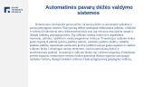 Automatinių pavarų dėžių valdymo ir reguliavimo sistemos ir algoritmai 13 puslapis