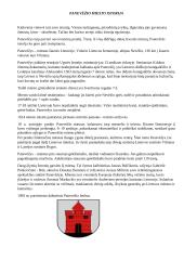 Panevėžio miesto istorija