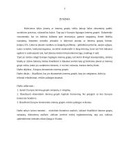 Europos ekonominių interesų grupė kaip verslo organizavimo teisinė forma 2 puslapis