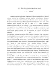 Europos ekonominių interesų grupė kaip verslo organizavimo teisinė forma 3 puslapis