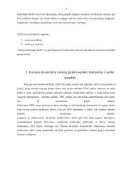 Europos ekonominių interesų grupė kaip verslo organizavimo teisinė forma 5 puslapis