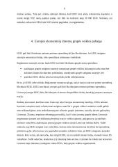 Europos ekonominių interesų grupė kaip verslo organizavimo teisinė forma 7 puslapis