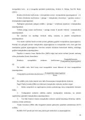 Atsiskaitymai su tiekėjais ir pirkėjais 17 puslapis