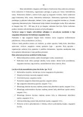 Šiaulių  universiteto archyvo raštvedybos sistemos analizė 13 puslapis