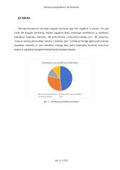 Duomenų suspaudimas ir archyvavimas 3 puslapis