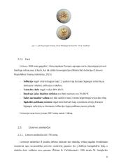 Finansų mokslo istorinė raida Lietuvoje 7 puslapis