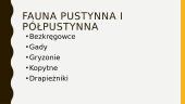 Pustynie i Półpustynie (lenkų kalba pristatymas) 16 puslapis