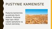 Pustynie i Półpustynie (lenkų kalba pristatymas) 7 puslapis