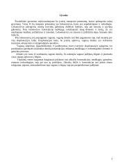 Šilumvežių aširačių konstrukcijos 2 puslapis