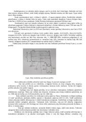Šilumvežių aširačių konstrukcijos 5 puslapis